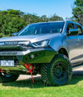 Offroad Animal Predator Bull Bar Low Loop Bumper to suit Isuzu Dmax 2021-2024
