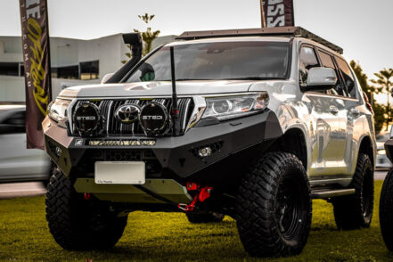 Offroad Animal Predator Bull Bar Low Loop Bumper to suit Toyota Prado 150 Series 2018-2024
